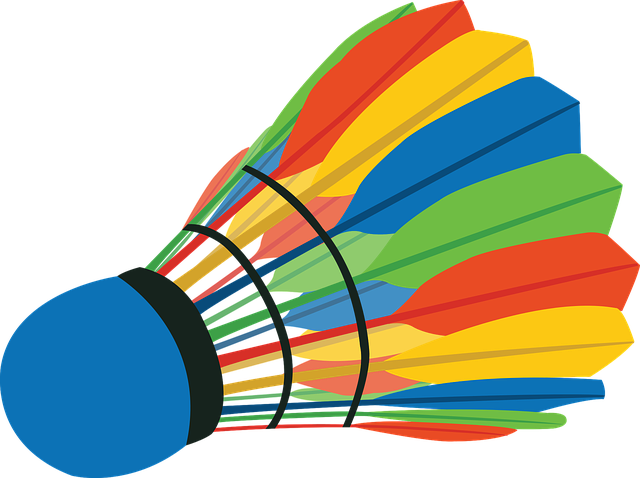 Shuttlecock Badminton Sport Game - nkbhokta / Pixabay